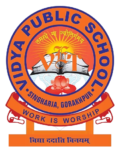 Vidya Public School